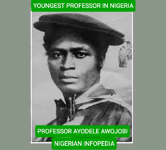 ayodele awojobi youngest professor in nigeria