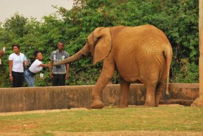 zoos-in-nigeria