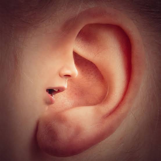 human ear and nose