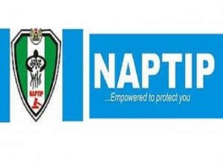 naptip-logo