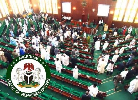 Reps in Nigeria