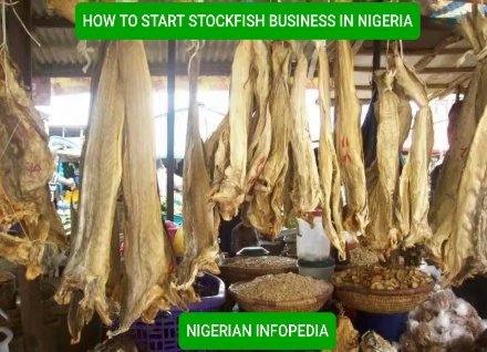 how to start stockfish business in Nigeria
