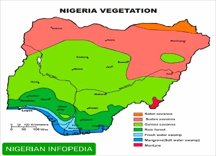 vegetations in Nigeria