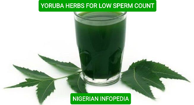 Yoruba herbs for treating low sperm count