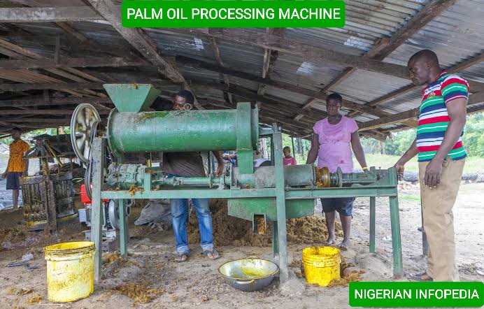 Palm oil processing machine in Nigeria