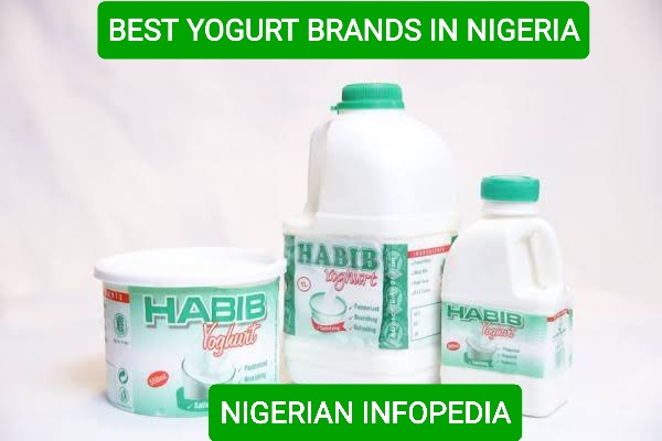 yogurt brands in Nigeria