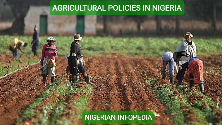 agricultural policies in Nigeria