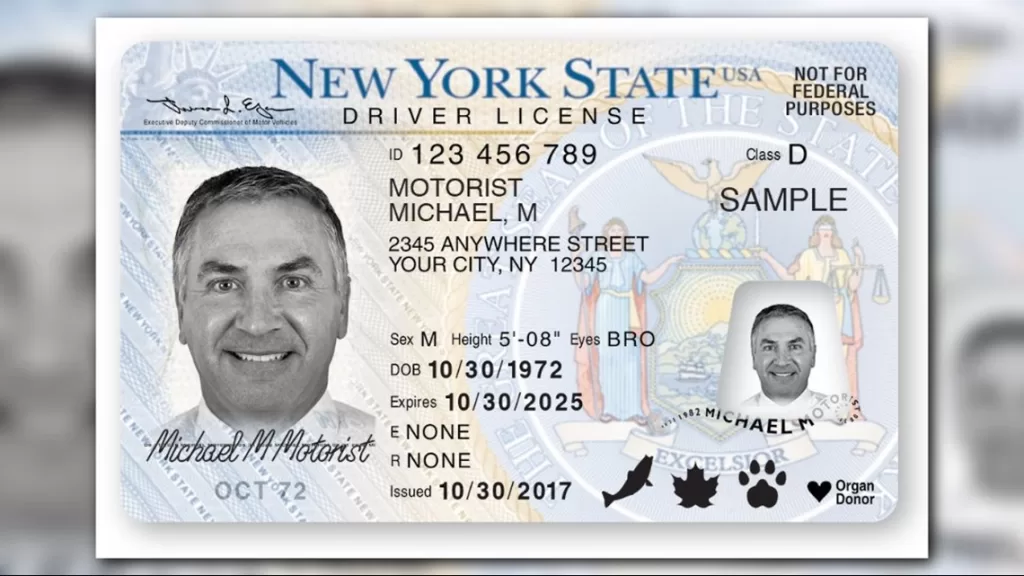 how to get new york drivers license