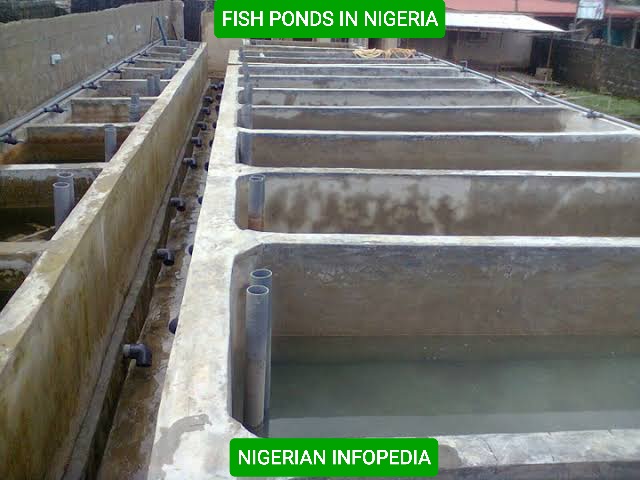fish ponds in Nigeria