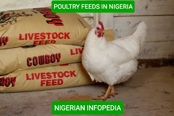 poultry feeds in Nigeria