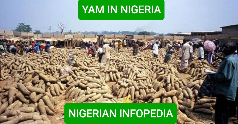 yam in Nigeria