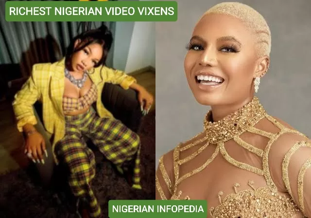 richest video vixens in Nigeria