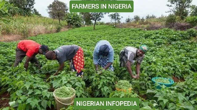 farmers in Nigeria