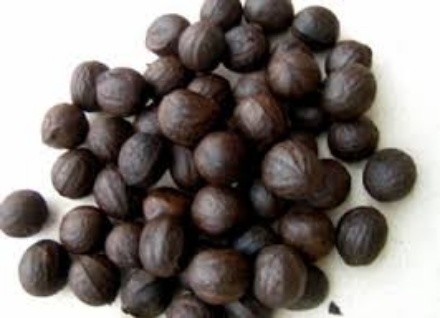 health benefits of african walnut