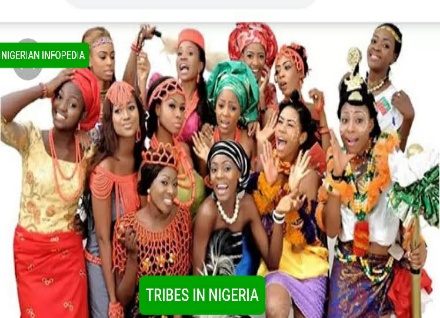 tribes in Nigeria