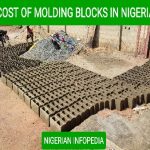 cost of moulding blocks in Nigeria