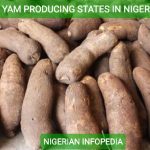 yam producing states in Nigeria
