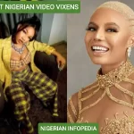 richest video vixens in Nigeria