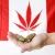 5 Biggest Marijuana Companies in Canada (2023)